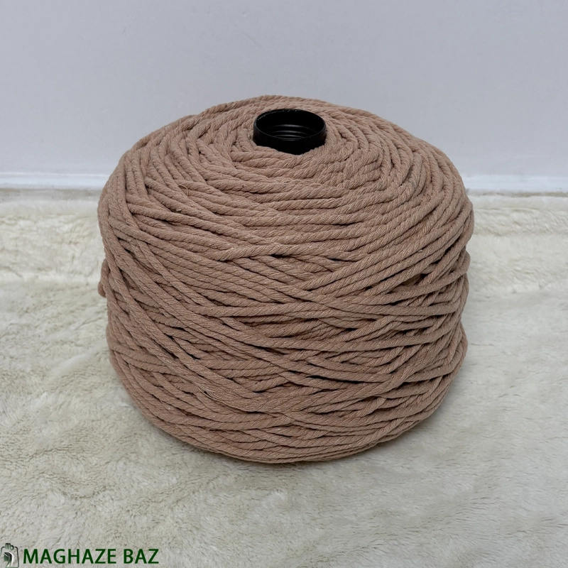 کرم بیسکوییتی2